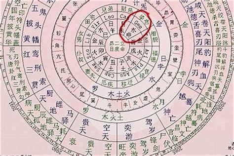 八字 星|生辰八字算命